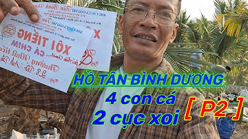 Hồ tân bình dương - 4 còn cá 2 cục xoi [p2] - quá phà  khỏe ru