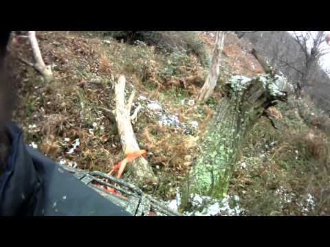 ΕΠΟΜΕΑ 295 CANAM