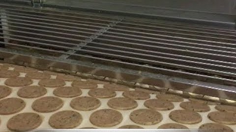 Digestive Biscuits Breakfast Biscuits  Making Machine Rotary Moulder Soft Biscuits Line