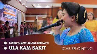 ICHE BR GINTING - PATAH TUMBUH HILANG BERGANTI \u0026 ULA KAM SAKIT