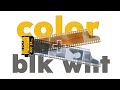 Shooting 2 Rolls of 35mm Film at the same time!