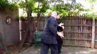 Baguazhang Push Hands Game screenshot 3