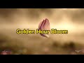 Golden Hour Bloom