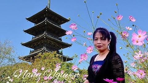 🌏CROWD1- CÁCH THAM GIA DỰ THƯỞNG LANDMARK NFT trong PLANET  IX 🌏