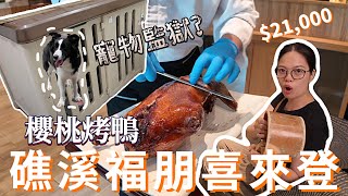 三天兩夜21000元! 溫泉能泡回本嗎?  宜蘭礁溪超大四人房開箱....寵物友善嗎? 心中第一名的櫻桃鴨 ! 竟然還有樂高樂園?  《房卡人生EP03》