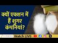 Sugar Stocks Rally: What’s Driving The Sweet Momentum In Sugar Companies?