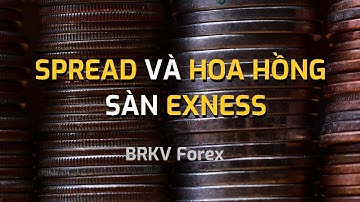 SPREAD VÀ HOA HỒNG CỦA EXNESS LÀ BAO NHIÊU? - BRKV