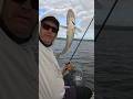 Tough Fishing EP 42