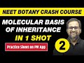 Molecular Basis of Inheritance in One Shot Part 2 - All Theory, Tricks & PYQs | Class 12 | NEET