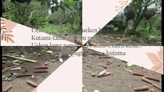 LAGU KARO   UEKEN KENA LIRIK