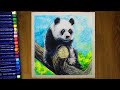Рисунок масляной пастелью Панда на дереве Panda oil pastels