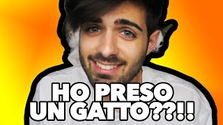 HO PRESO UN GATTO??!!