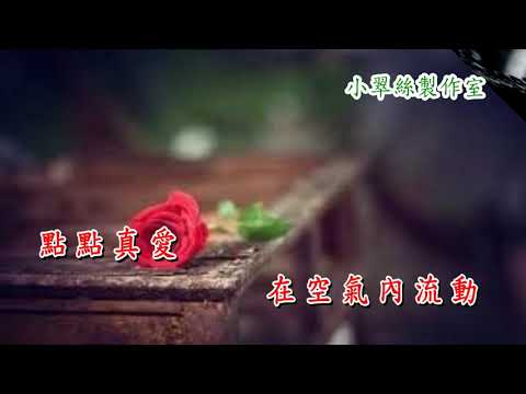不裝飾你的夢(女Key)卡拉OK純音樂