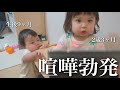 【年子育児】喧嘩勃発!!小さい姉弟の喧嘩が面白くて可愛すぎたw【1歳6ヶ月差】