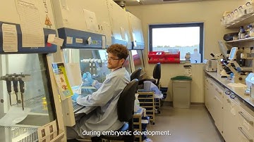 PIPgen ESR1 Alberto, UCL