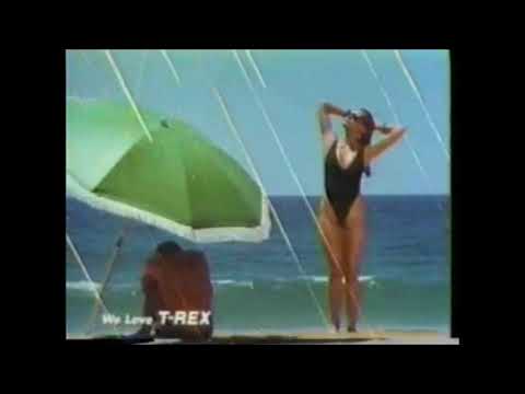 マックスファクター パザズ パンケーキⅡ CM ダイアン・レイン