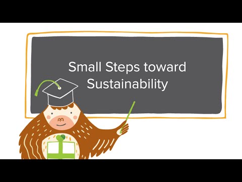 Bloomerang Academy: Small Steps toward Sustainability