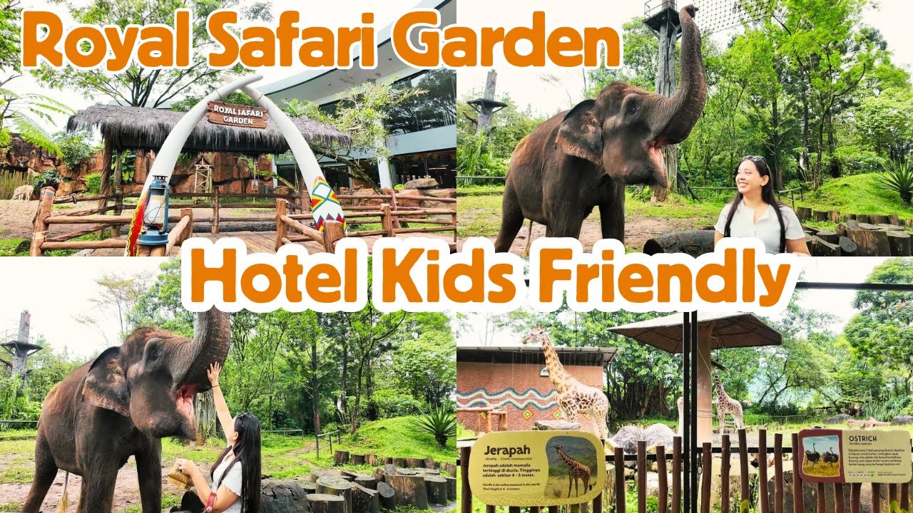 ROYAL SAFARI GARDEN PUNCAK DESTINASI LIBURAN KELUARGA BANYAK PERTUNJUKAN BINATANG, WAJIB KESINI‼️