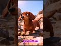 El secreto que nadie te cuenta sobre los perros salchicha. #PerroSalchicha #Dachshund