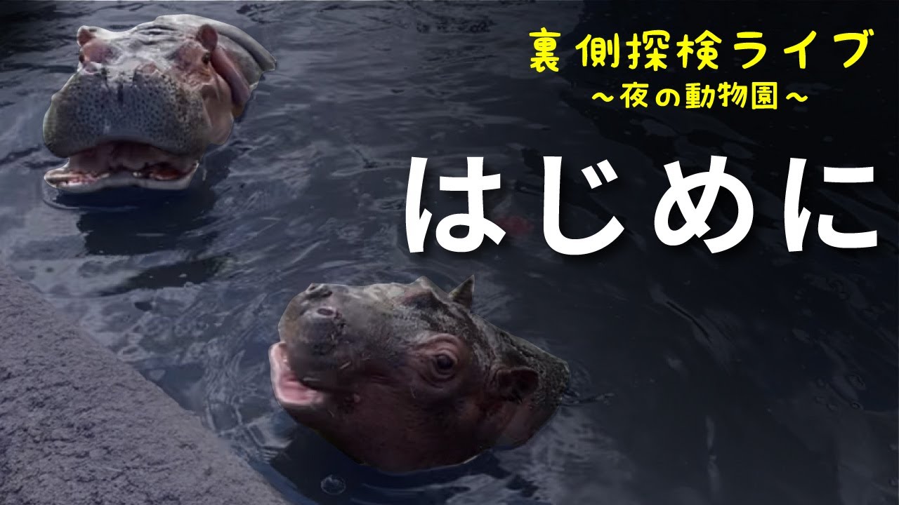 裏側探検Live1(はじめに)