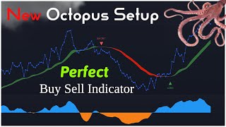 5 Minute Scalping Strategy: Never Loss Again With Octopus Nest Trading System, At Least +7% Per Day