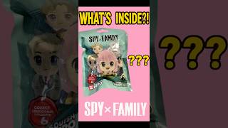I Got This In A Spy X Family Blind Bag