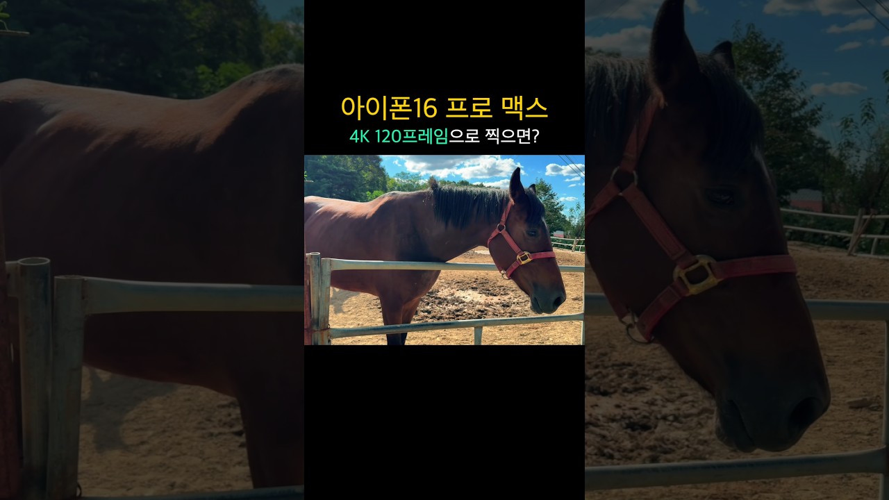 아이폰16 프로 4K 120프레임으로 찍은 영상은 ?