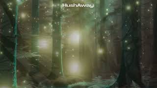 Experience | The PEACE Framework | HushAway®