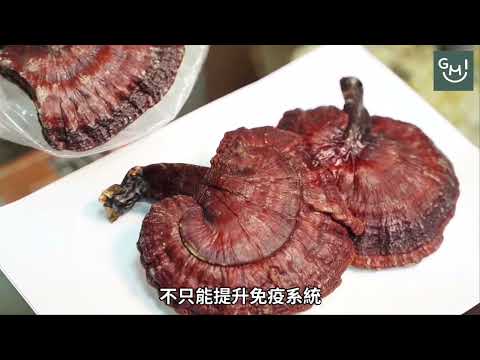 小孢子靈芝免疫調節蛋白質GMI