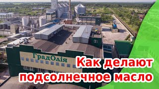 Как делают подсолнечное масло: завод «ГрадОлия» за 2 минуты