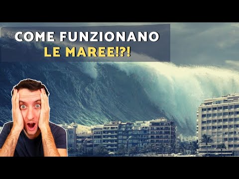 Video: Quali sono le cause della marea rossa?