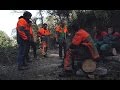 SocialForest: una empresa forestal comprometida con la integración laboral de jóvenes