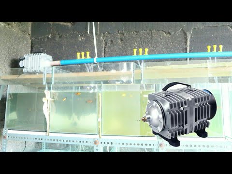 Video: Paano Mag-install Ng Isang Compressor Ng Aquarium