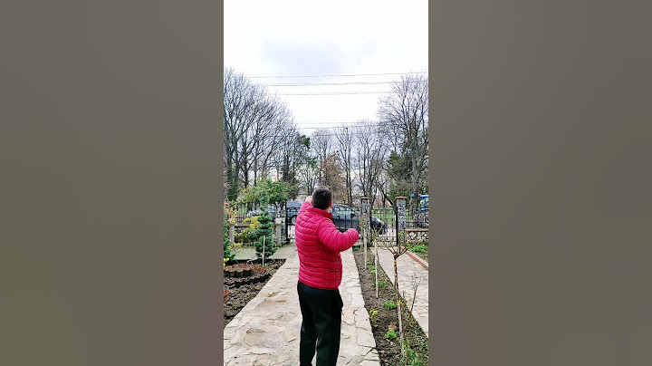 Reels ve Tiktok'ta viral olan O vidyo