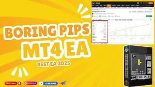 Boring Pips EA v4.3 🚀 New Update for MT4 Build 1441+ | Full Review + Setfile
