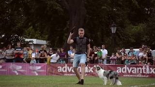 Kuba & Shanti | UpDog Challenge Freestyle level 1 by Dogs in Lens 1,589 views 4 years ago 1 minute, 40 seconds