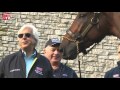 Farewell to American Pharoah