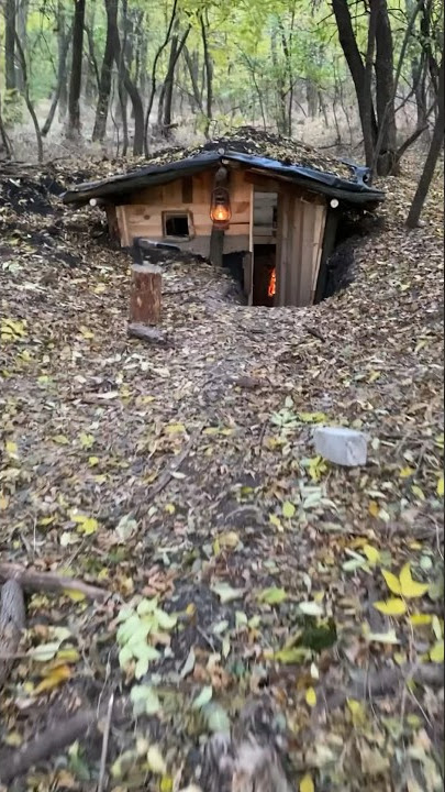 Download lagu dugout in the forest #survival #bushcraft #camping #shelter #survivalskills #bushcraftcamping