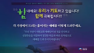 3월 15일 서현교회 주일 2부 예배 실황 (20200315)