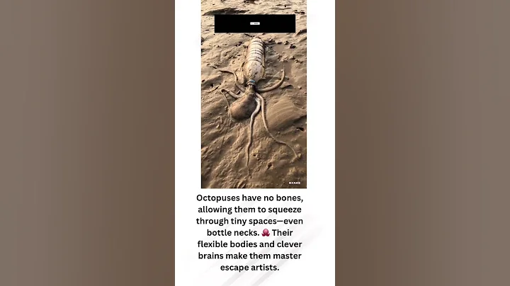 Octopus squeezes into a bottle. #freaky #weirdfacts #freakyfacts #octopus #weird