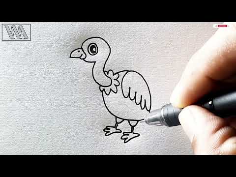 How to Draw