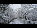 雪の降る 街を小林旭       Akira Kobayashi in a snowy city