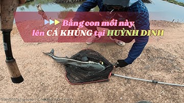 Lên cá bớp khủng tại hồ câu Huỳnh Dinh Long Sơn Vũng Tàu