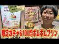 【サンリオ】1回690円の日焼けデザイン限定ガチャ&ポムポムプリン30周年記念デザイン100均グッズ大量購入!!【sanrio】