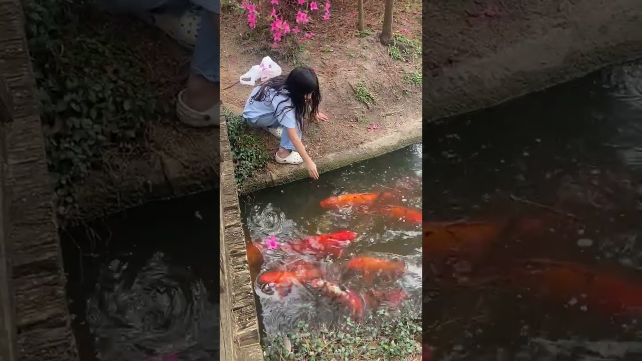 Lady Samantha agarrando pescados 