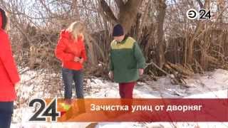 В Казани началась зачистка улиц от бездомных животных В Казани началась зачистка улиц от бездомных животных