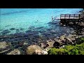 Кипр 2021 Constantinos The Great Beach Hotel пляж Фигового дерева