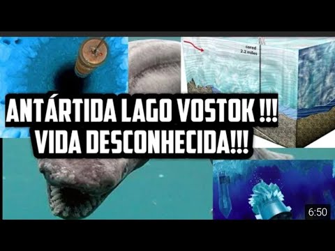 Vídeo: O vírus SARS descoberto na China chegará à Rússia?