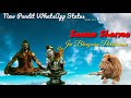 New Pandit WhatsApp Status Whatsapp Status Video Download Free
