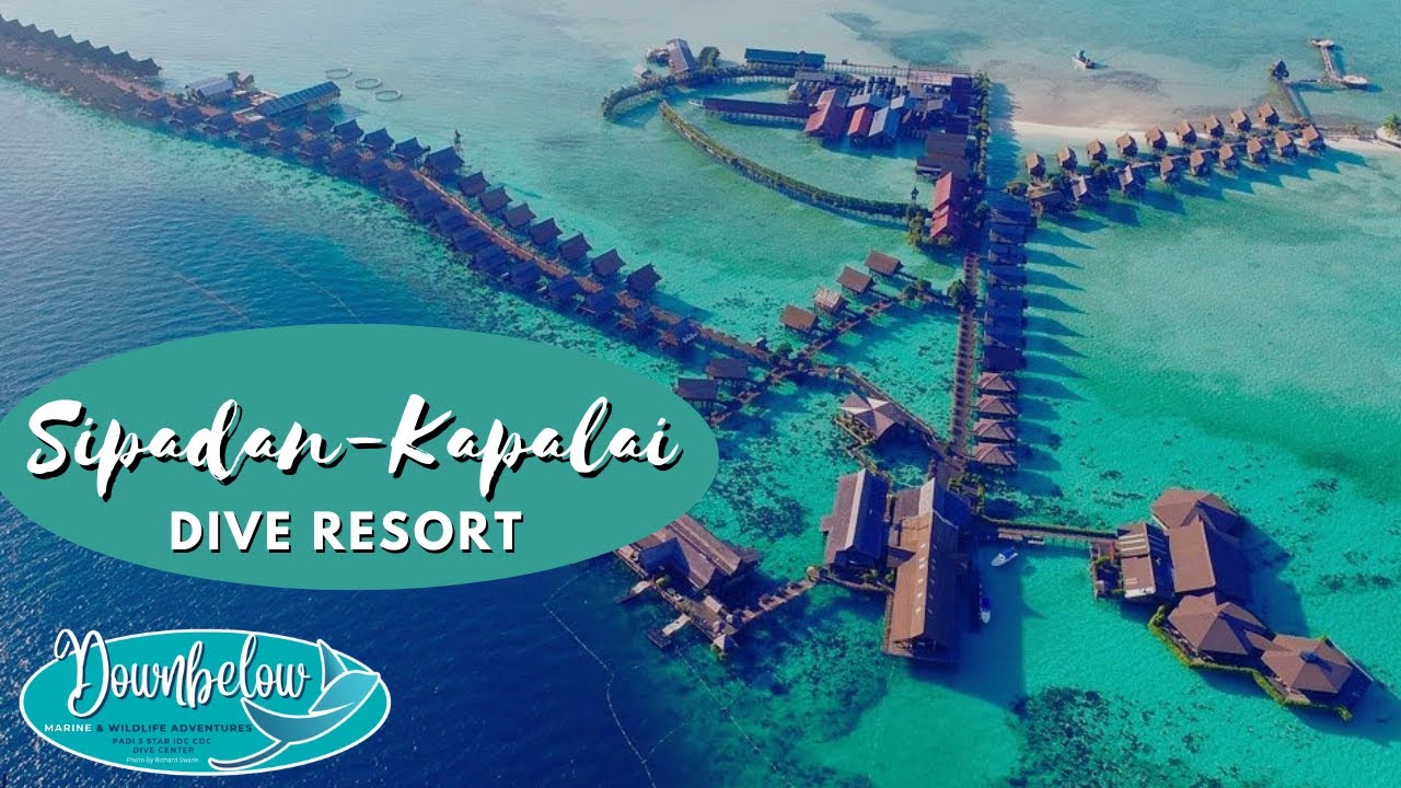 Scuba Diving Holiday. Sipadan Kapalia Dive Resort. YouTube